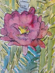 Vivid Desert Blooming Cactus Watercolor & Ink RAMfish Artist 8 1/4″ X 8 3/4″