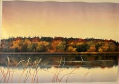 Vintage ELIZABETH RICKERT New England Reflecting Pond in AUTUMN Pastel Painting