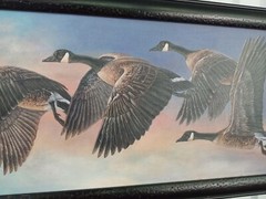 carolyn mock Painting