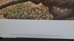 ‚Haunts of the Mayan Gods‘