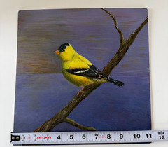 Estate Owned Hobby Artist Acrylic Gold Finch Bird Painting 11×11 on Birch Panel