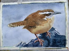 Original watercolor Carolina Wren painting bird art nature decor birding animals