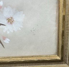 Vintage Blue Bird Cherry Blossoms Pair Larry’s Art Japan Famed Radio Picture Co