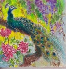 Peacock 3, original art mounted on wood panel, 4″x4″ $30