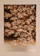 Hajime Namiki „SAKURA-7“ woodblock print Signed ED 34×46.5cm