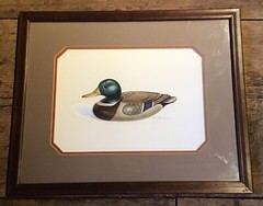 WATERCOLOR ON PAPER OF MALLARD DECOY SIGNED RON SAPORITO CT LYME ART ASSN ARTIST
