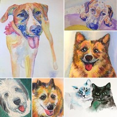 Custom Pet Portraits – made to order, one of a kind paintings!