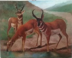 FINE ART Antique Oil canvas painting / Landscape Realist Art / Very Beautiful