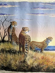 Oil Painting of Cheetahs on African Landscape 20×30 Vivid Colors Wild Animal