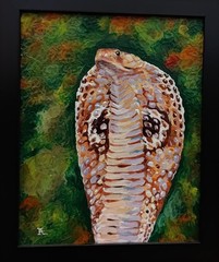 Original painting on board, COBRA, animal, 8″x 10″, signed, snake