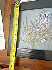 Framed Great Grey Owl Oil Painting James Springett w Authenticity HUNTING VOLS