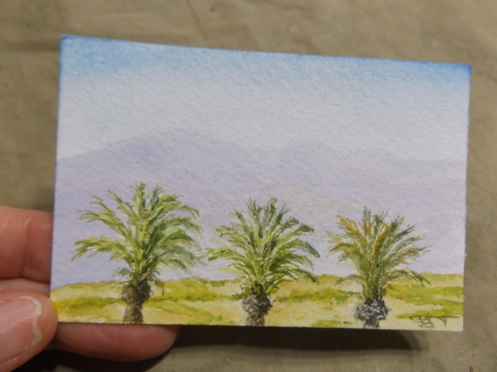 2025 Watercolor Miniature Greek Palm Trees 2.5×3.75″ Signed PJT en plein air