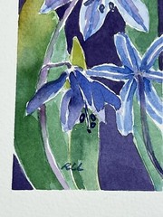 Roberta Larson Original Watercolor Painting Scilla 7×6” Signed Flower Fine Art