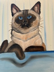 Original oil painting 11 x 14 inch Siamese cat signed canvas