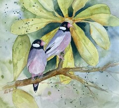 Finches Hawaiian Birds Original Watercolor Painting
