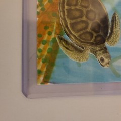 ACEO ORIGINAL ART CARD SEA TURTLE SEASCAPE Underwater Y Farm Caribbean Islands