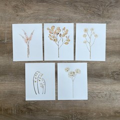 Dried Wild Flowers Watercolor Painting Set of 5, Original 6″x7.5″