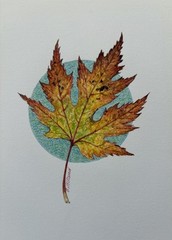 Original Painting Maple Leaf Fall Autumn Botanical By Gilliland Watercolor Mixed