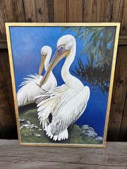 WHITE PELICAN PAINTING ART PELICANS REALISM BIRD TROPICAL BY THOMAS J. QUINN