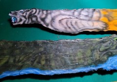 Pair Of Animal Natural Shaped Wood Log Paintings