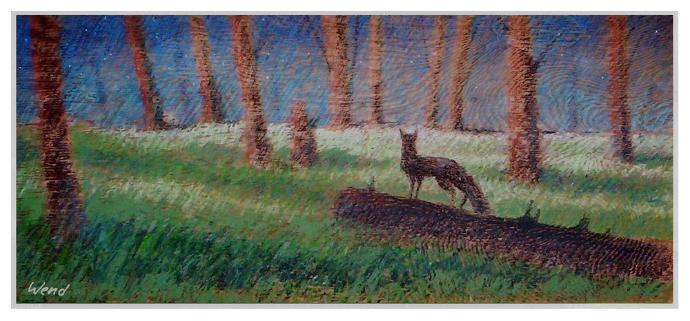 Original wildlife painting of a fox at night in a meadow, by artist Daniel Wend