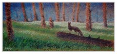 Original wildlife painting of a fox at night in a meadow, by artist Daniel Wend