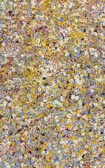 Bessie Pitjara 💕Aboriginal Art 83cm X 56cm COA Supplied BP26M-2