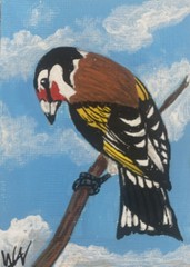 ACEO Original , ATC, European Goldfinch, Acrylic Painting By WAV ,Signed,COA