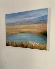 NEW LANDSCAPE OIL PAINTING 16x20inches OIL ON CANVAS BY GINA VANN UNFRAMED