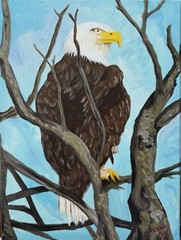 ART JOY-EUNIE 12×16” Acrylic Canvas Original Art Expressionism BALD EAGLE 26016