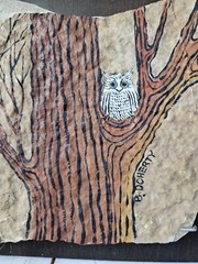 OOAK Hand Painted Owl in a Tree Wall Art Mounted Slate Rock 15 x 9 B Doherty