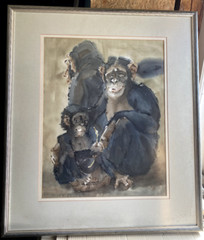 Watercolor Monkey Zoo Animals Monogram S.C. 1984 Chimpanzee Frame Animal Park