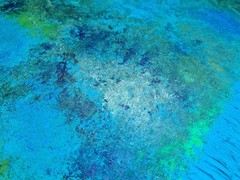 One-of-a-Kind Green ColorField Luxury Textured Abstract Canvas Art 59×30 in