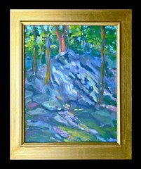 Rock Climbing Carderock Maryland Montgomery