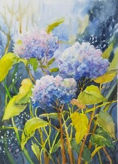 Hydrangeas Watercolor Painting Original Floral Art Blue Flowers Botanical Art