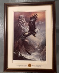 To Save The Eagle Proud And Free Original Certified Vintage Work Ted Blaylock