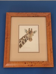 Sharon Stolzenberger Giraffe Watercolor Painting Framed Art 12″ x 10″ NICE