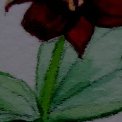 Vntg watercolor painting JUDY MIZELL spring embroidery 62/200 Signed F&M 24″x12″