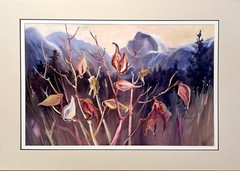 Kay Duffy watercolor painting Yosemite California landscape Half Dome Milkweed
