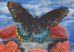 butterfly original watercolor painting beach signed 9 x 12 inches