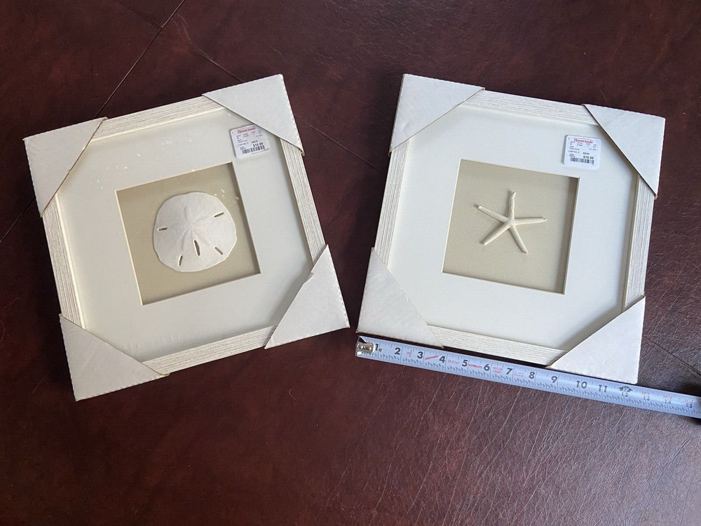 Beach Themed Glass Framed Sand Dollar and Starfish- 2 Pieces- New