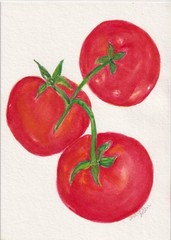 5×7 Red Tomatoes Original Watercolor Painting, Fruit FREE SHIP, Sharon Foster