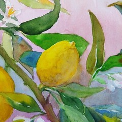 Lemon Tree Branch Original Watercolor Painting Blossom Spring Flowers Wall Art