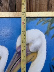WHITE PELICAN PAINTING ART PELICANS REALISM BIRD TROPICAL BY THOMAS J. QUINN