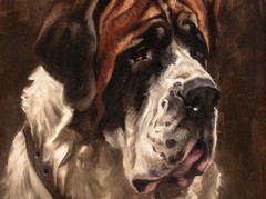 Early 20th Century St Bernard Dog Portrait by Frederick Thomas DAWS (1878-1956)