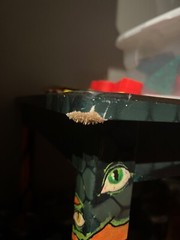  Hand Painted Table_Cavern of the Quiet Mind_Original Art_Creative Furniture