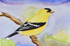 ORIGINAL Watercolor Bird Painting Goldfinch Hand Painted 4″x6 „