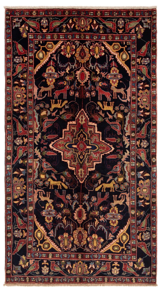Hand Knotted Rug Bakhtiar 295 x 160 cm