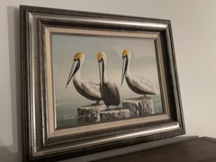Pelican Oil Painting By Andre Lange