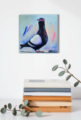 Dove with Glasses Oil Painting 20x20cm Animals Birds Original Painting on Canvas